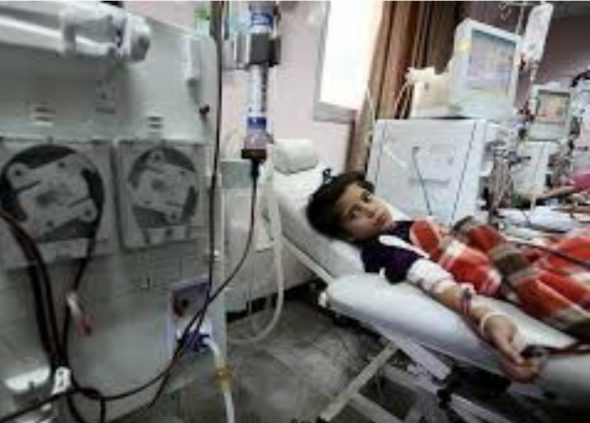 اللجنة الصحية في«لجان العمل النسائي» تحذر من كارثة إنسانية على الأطفال المرضى في قطاع غزة جراء انقطاع الكهرباء